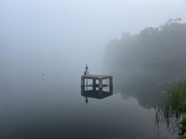 Misty morning thumbnail