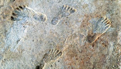 Tracking Humans’ First Footsteps in North America