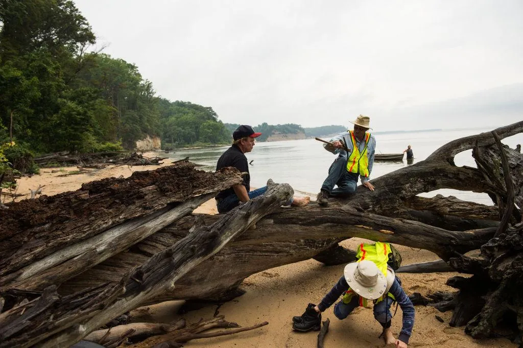 Five Places Where You Can Collect Fossils in the D.C. Area