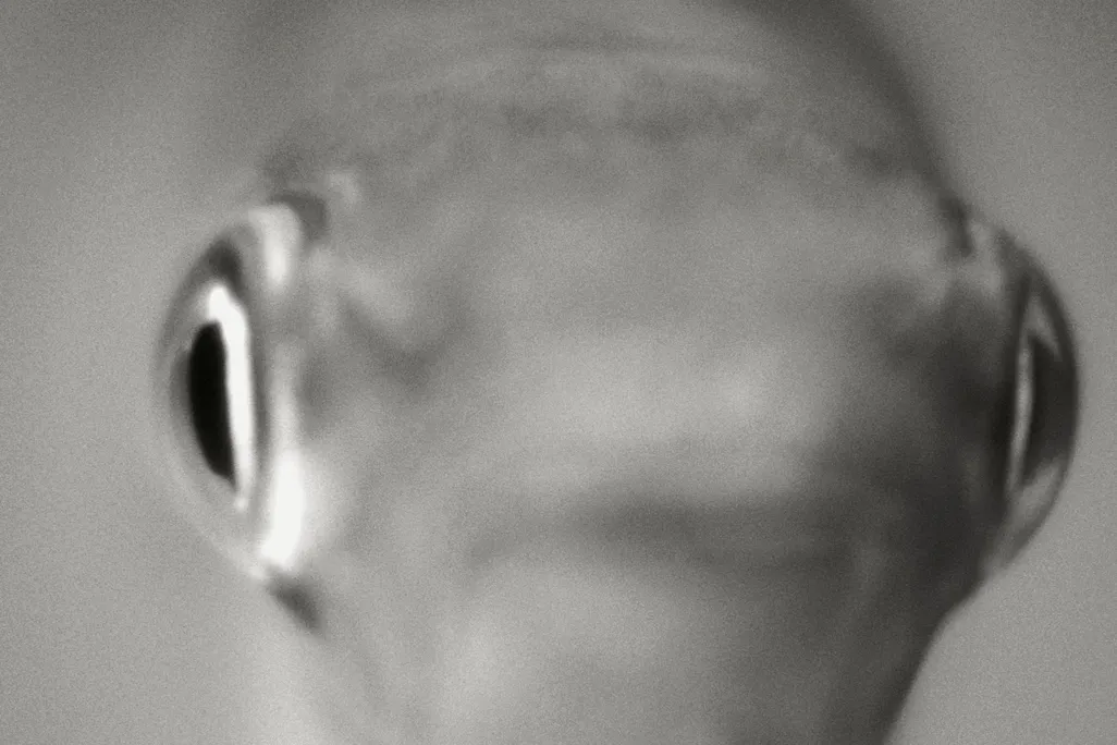 Minnow