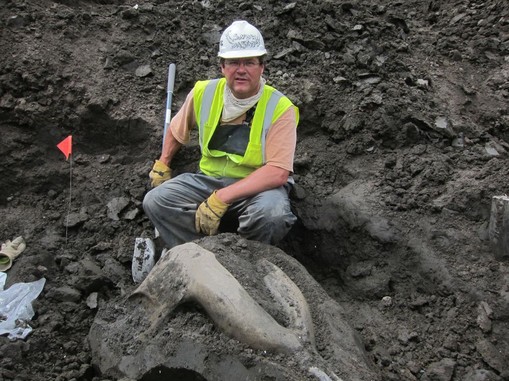 A man wearing a white hard hat, neon vest, dark gray pants and yellow gloves sits in a pit of dark rock. Just below his knees is a boulder with a piece of lighter gray fossil sticking out of the top.