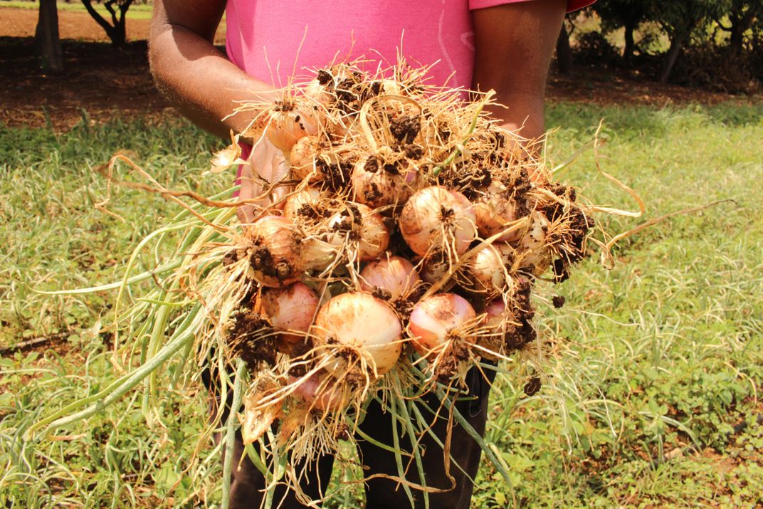 Against All Odds, This Indian Ocean Island Is Trying to Go Organic