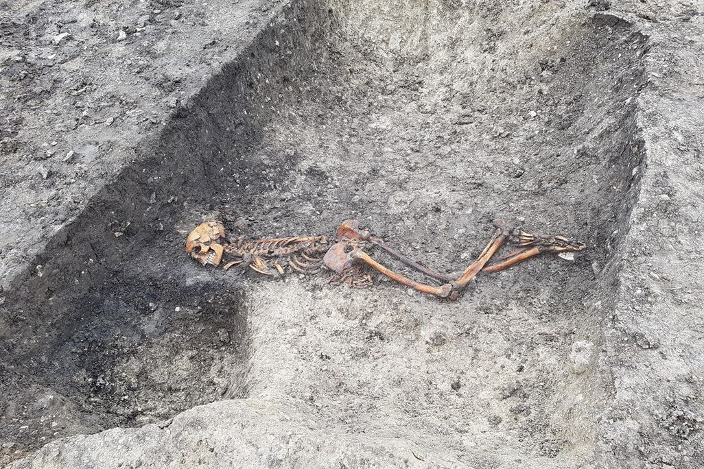Skeleton