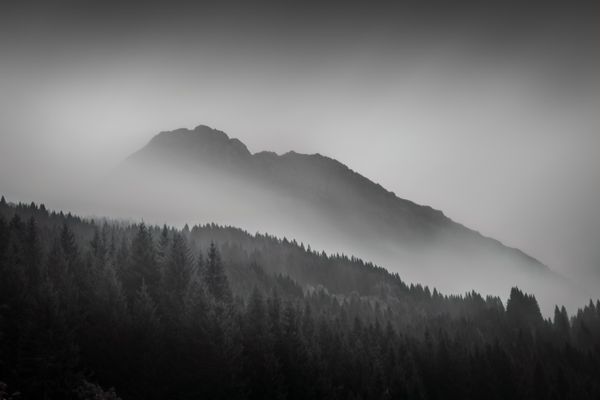 Veil of Silence thumbnail