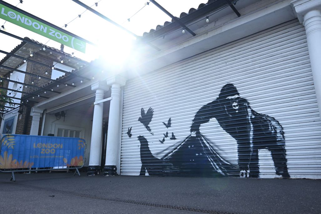 Banksy Gorilla