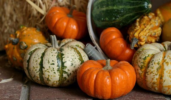 A pile of gourds spilling out of a tipped over container onto a brick floor with a bale of straw in the background.