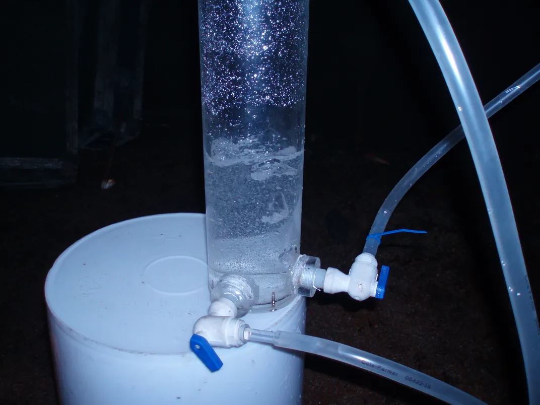 bubbles in a tube with liquid