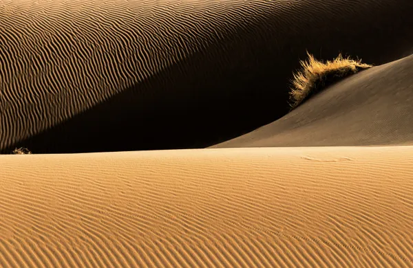 Geometry of nature thumbnail