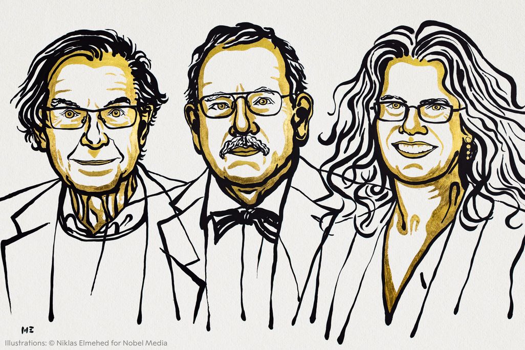 A black and yellow line drawing of the three Nobel laureates in physics. Roger Penrose is on the left, Reinhard Genzel is in the middle, and Andrea Ghez is on the right.