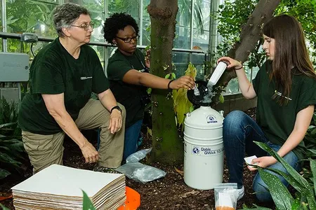 Tissue samples in test tubes, like the one D.C. high school student Asia Hill is holding above, are wrapped tin foil and dropped into the team's portable liquid nitrogen tank. 