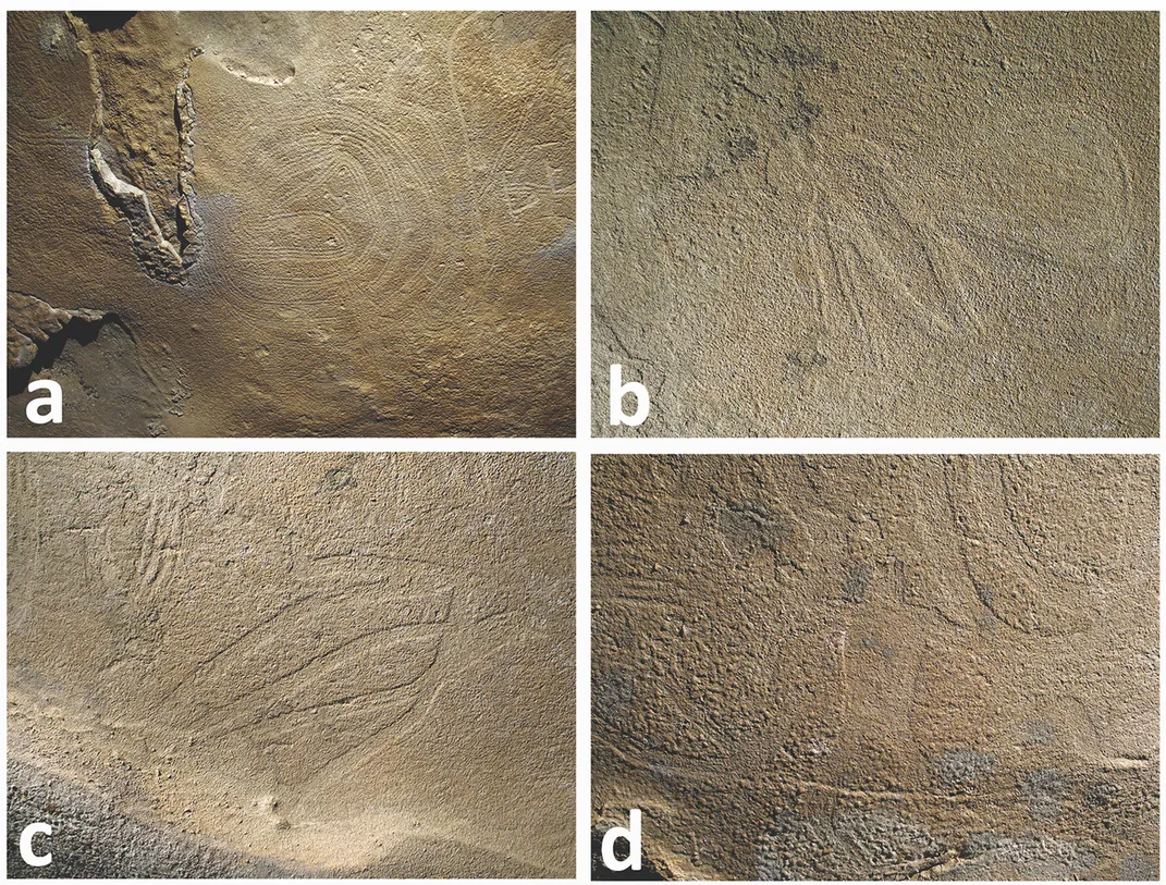 Smaller mud glyphs from 19th Unnamed Cave: a) coiled serpent figure with head in the center, b) wasp with head to the left and abdomen to the right, c) stylized bird and d) anthropomorphic figure surrounded by swirling lines