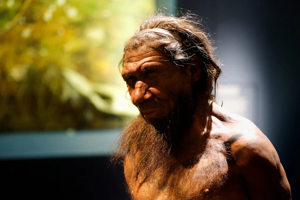 Neanderthal