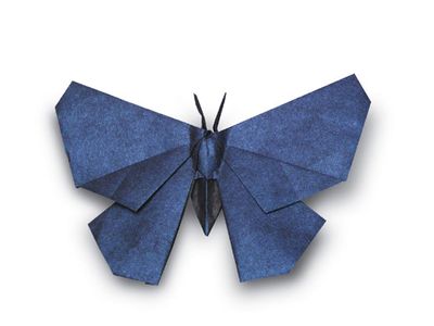 origami-butterfly.jpg