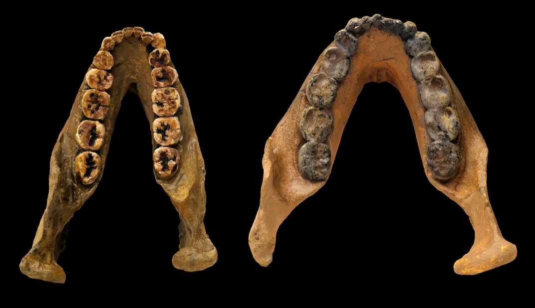 How Ancient Teeth Reveal the Roots of Humankind