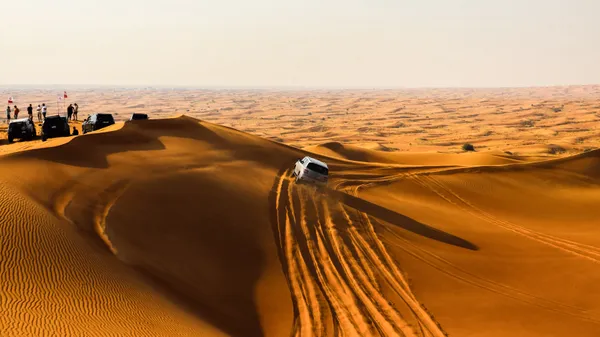 Desert Tracks thumbnail