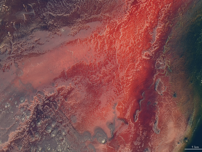 A closer view of Lake Natron&#39;s blood-red waters in an image captured by NASA satellites.