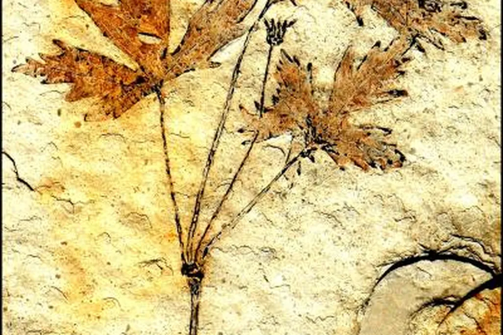 2011052010244430987_web.jpg