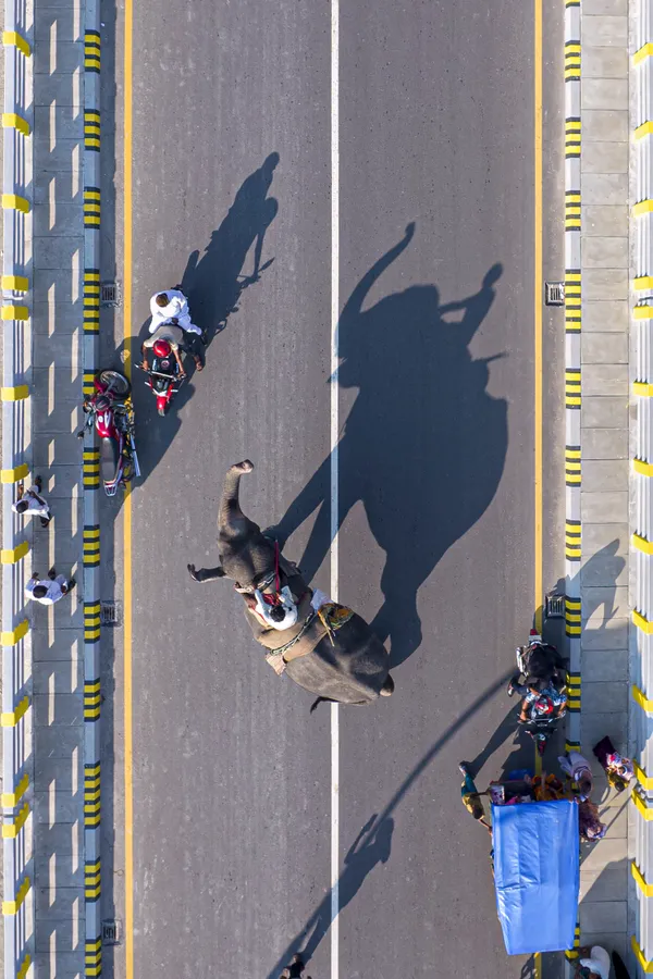 Collecting donations to survive thumbnail