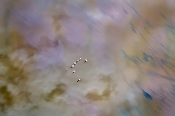 Watercolor Skies Below thumbnail