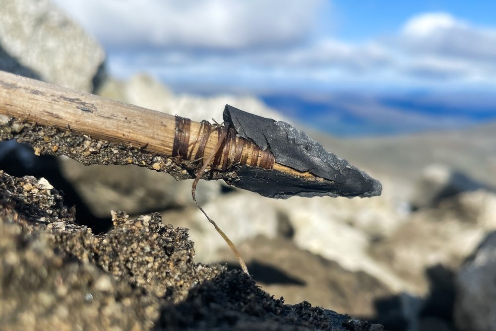 an arrowhead on a shaft with sinew tied around it