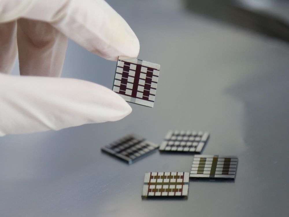 perovskite solar cells