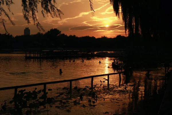 Sunset bathers thumbnail