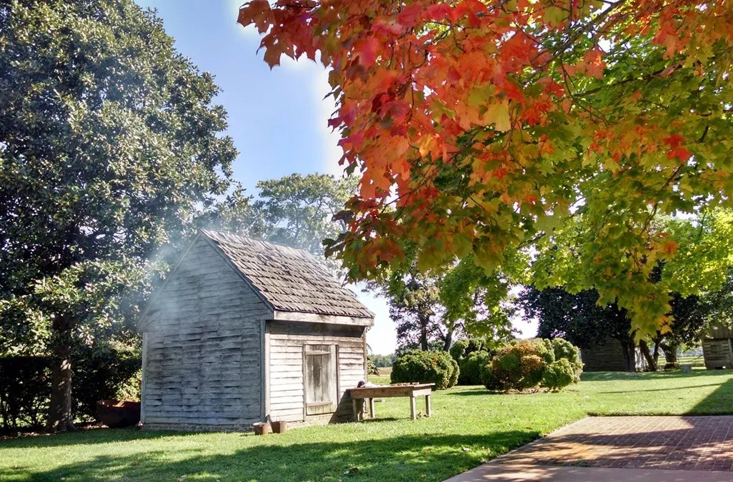 A small wooden house with smoke rising from the roof, framed by bright red and green fall foliage and green grass
