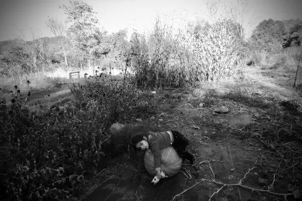 The Last Pumpkin, Codman Farm thumbnail