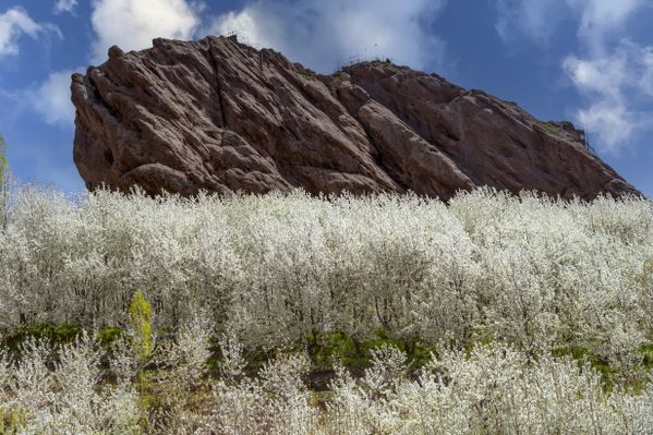 Alamut Castle thumbnail