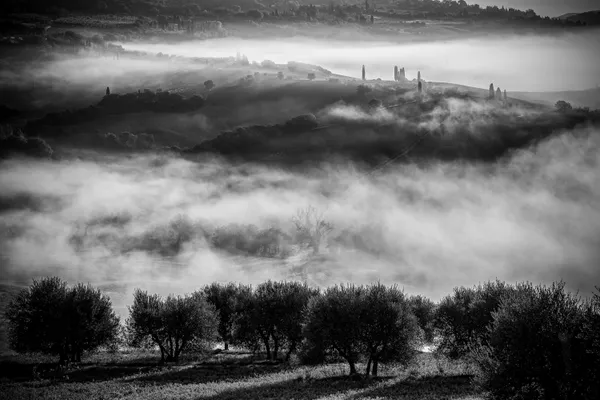 Foggy Valley in Tuscany thumbnail