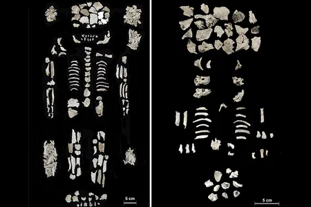 Researchers found the remains of a high-ranking woman (left) and her two twin fetuses (right) in a Bronze Age urn in central Hungary.