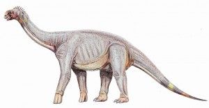 20110520083222Astrodon-Dino-300x156.jpg