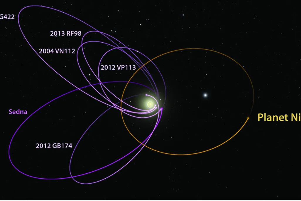 A picture showing simulated dwarf planets clustred near the theoretical "Planet Nine". There are a total of 6 pictured dwarf planet orbits in the photo and one orbit that belongs to Planet Nine. 