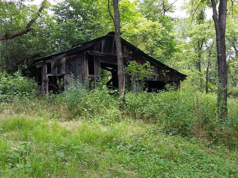 abandoned homestead in Missouri Smithsonian Photo