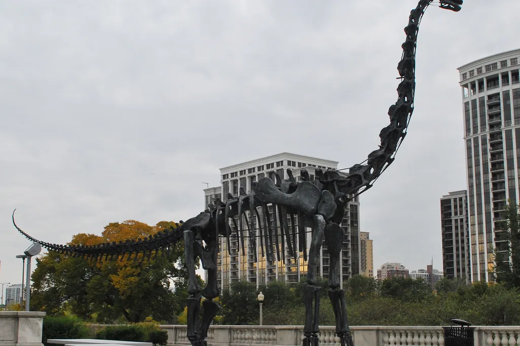 Brachiosaurus