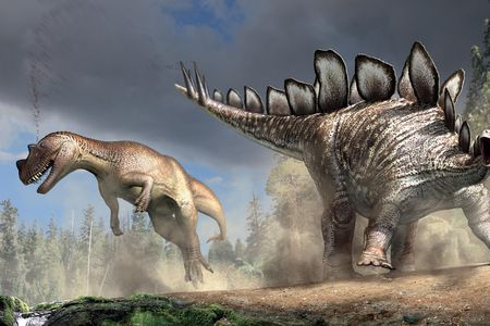Stegosaurus and Ceratosaurus are among one of the most successful groups ever to have evolved.