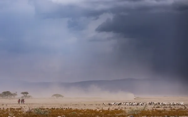 The Unyielding Spirit of Ngorongoro thumbnail