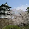 1,800 Volunteers Pull a 400-Ton Japanese Castle Keep Back Toward Its Original Location After a Decade of Restoration Work icon