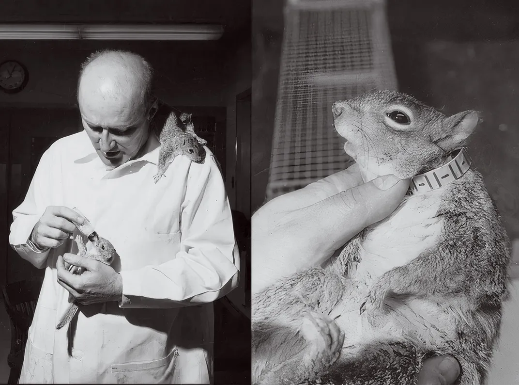 scientist feeding a squirrel