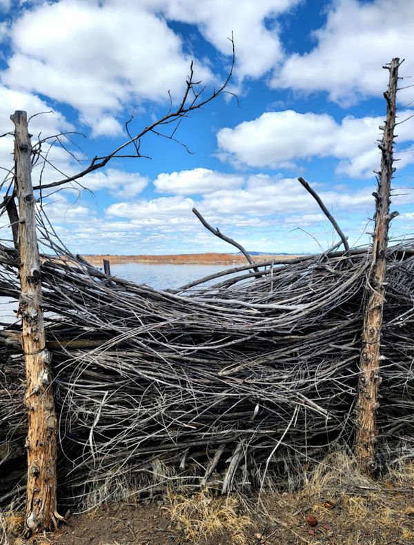 A rustic fence thumbnail