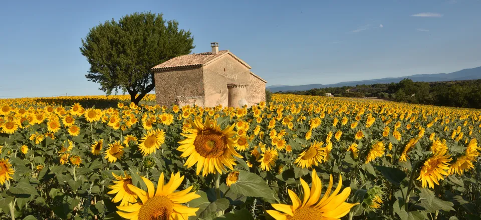 DISCOVER Provence and the Côte d’Azur: France’s Mediterranean Charms A celebrated retreat since the Romans passed through, the south of France is famous for its pastel-colored towns, thyme-scented hills, and stunning coastline.
