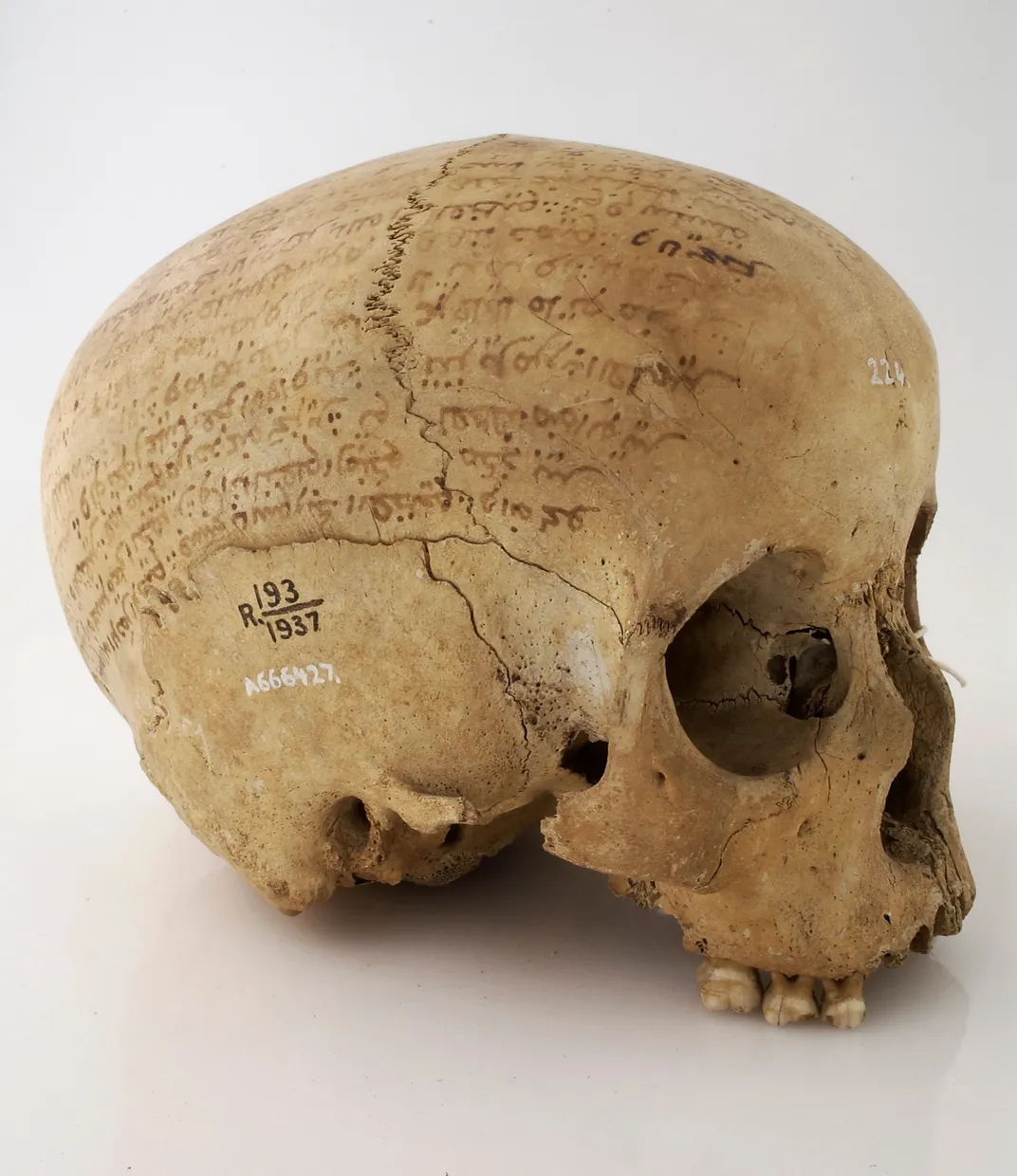 A skull inscribed with a prayer