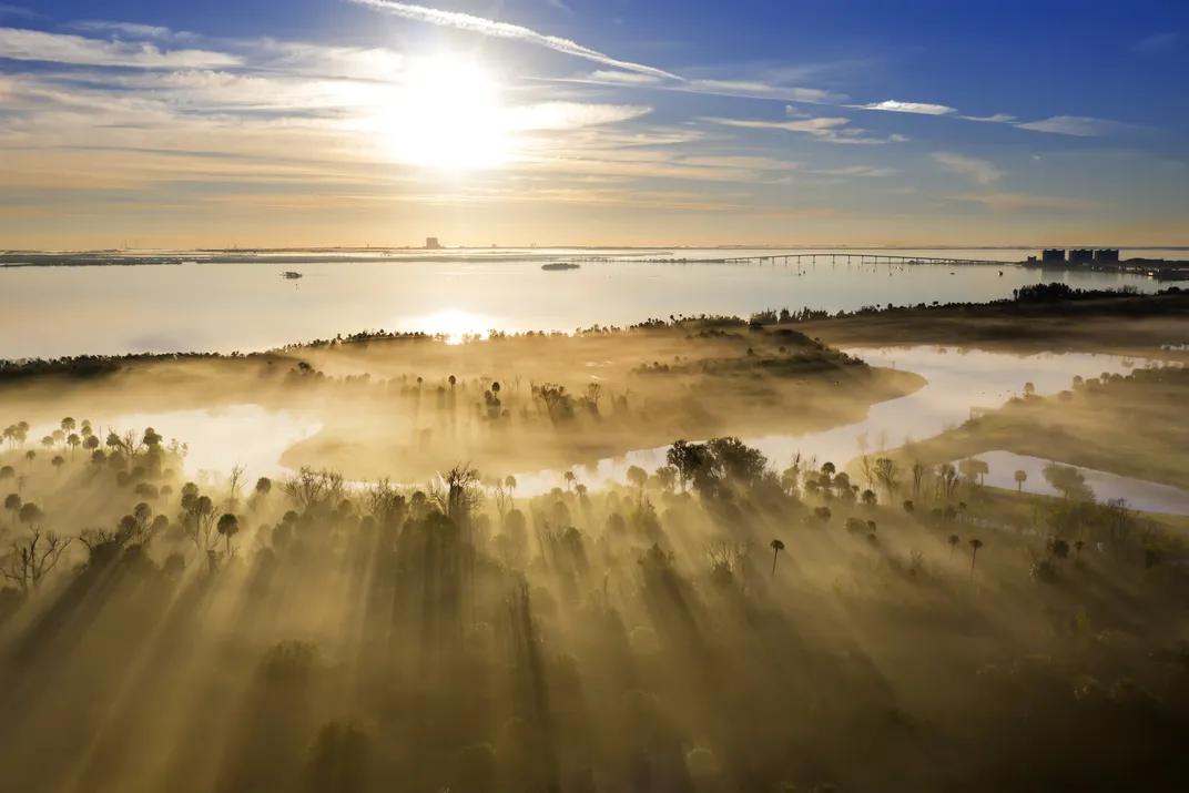 a shoreline in golden light seen from above