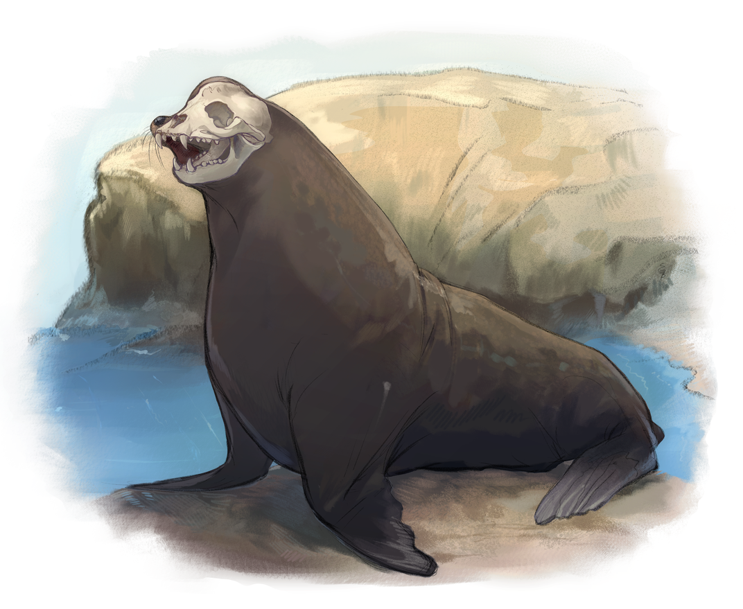 Influx of sea lions just a start, News