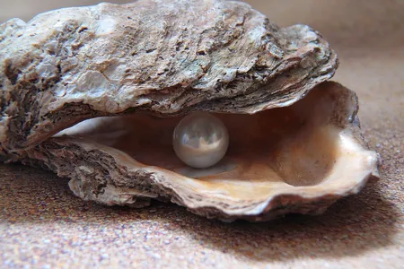 Pearls have been a symbol of extreme wealth for thousands of years.