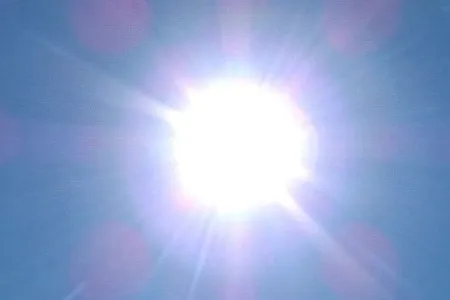 Experiments show several natural herbs provide some protection from the sun.