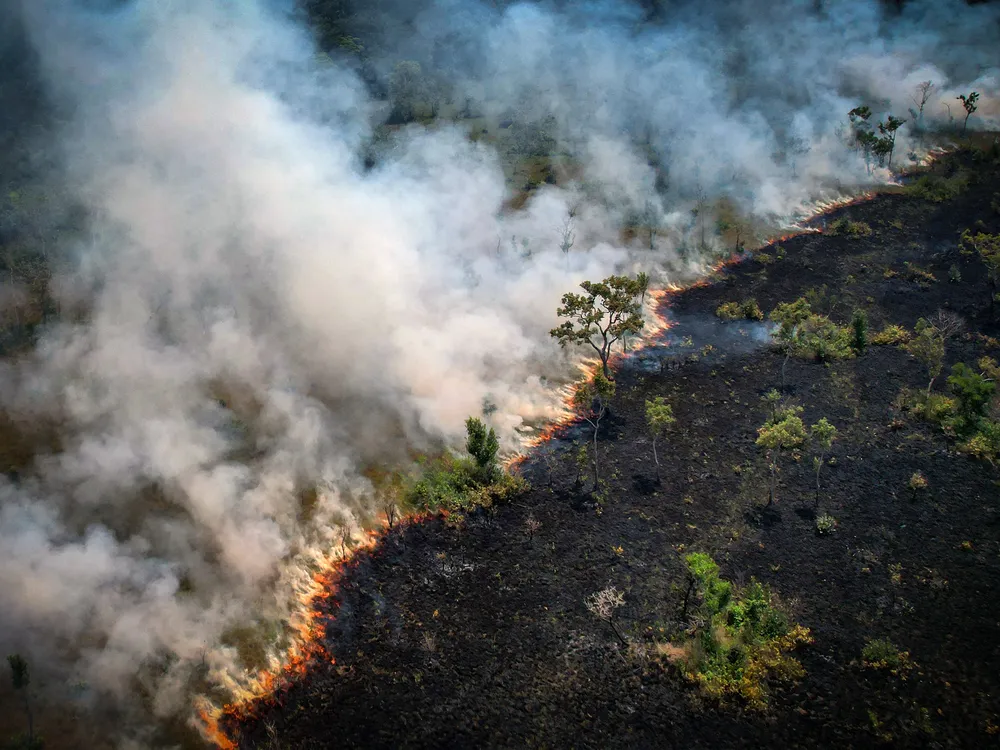 Aerial view of wildfire burning with white smoke in the forest