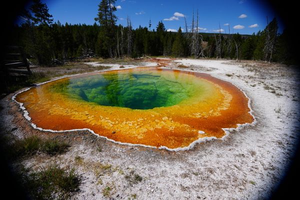 A colorful geyser at the Yellowstone National Park thumbnail