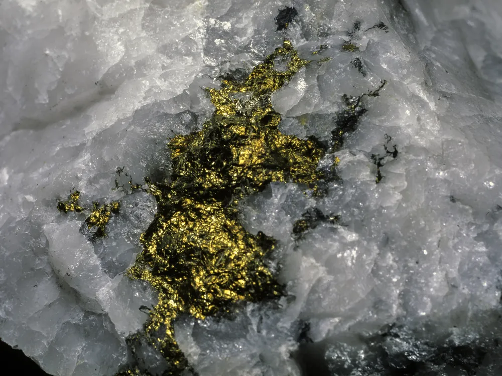 gold vein in quartz close-up