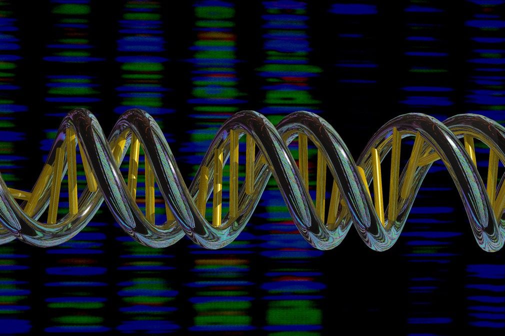 DNA